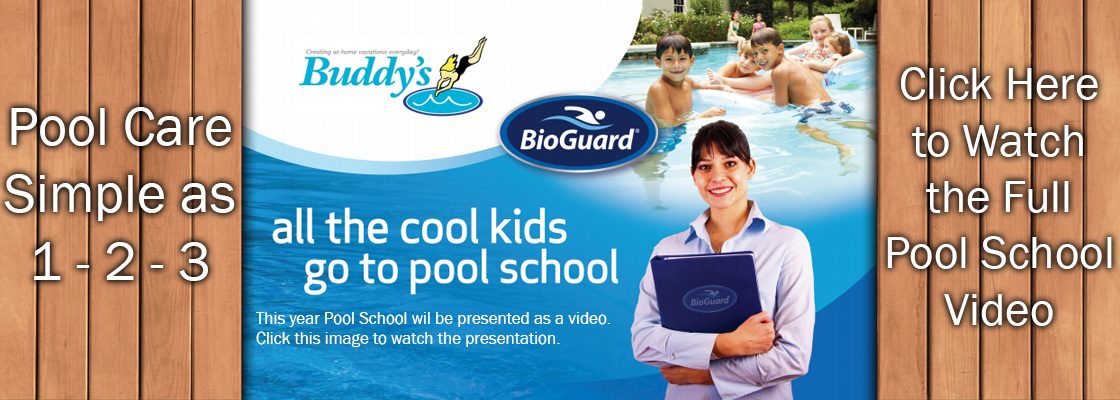 Buddy's Virtual Pool School