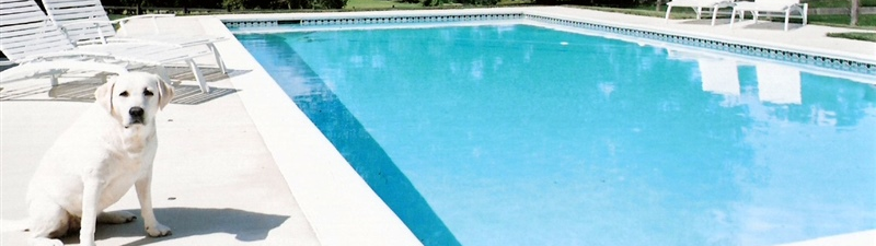 12 month financing, buddy pool and spas | pool renovation, pool equipment, new pool, baltimore